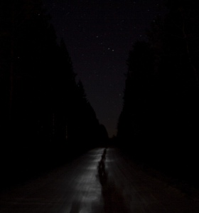 Walking in Darkness, by Linda Hedenljung